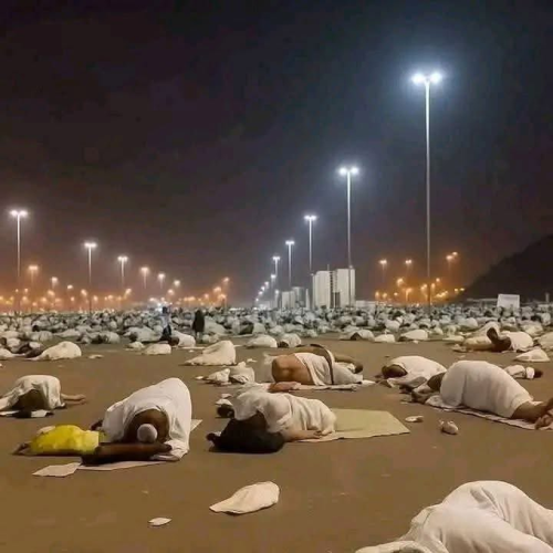 Hajj Deaths in Saudi Arabia