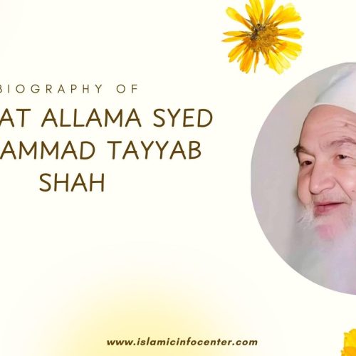Hazrat Allama Syed Muhammad Tayyab Shah