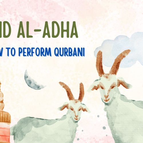 How to Perform Qurbani